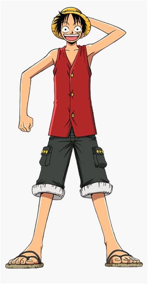 Monkey D Luffy Water One Piece Luffy Full Body Luffy One Piece