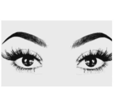 Eyelashes Svg Eyes Svg Beauty Svg Make Up Svg Eye Lashes Svg Face Svg
