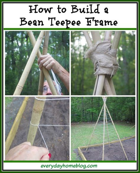 How To Build A Bean Teepee Frame The Everyday Home Bamboo Diy Diy