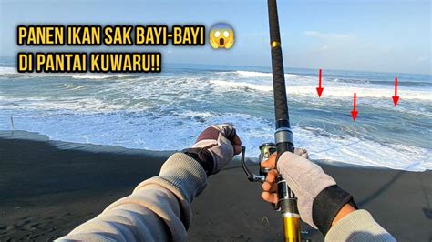 Sangat Menyenangkan Mancing Pasiran Nolnil Ikan Sak Bayi Bayi Full