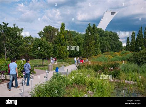 Canada Qu Bec Montr Al Le Jardin Botanique Et L Arri Re Plan La