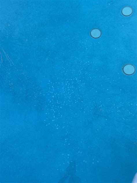 White Flakes In Pool After Installing Saltwater Generator Calcium