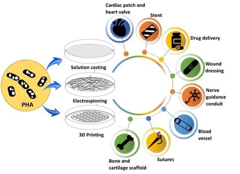 What Are The Different Applications For Polyhydroxyalkanoates PHAs