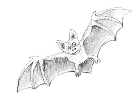 How To Draw A Bat Step By Step
