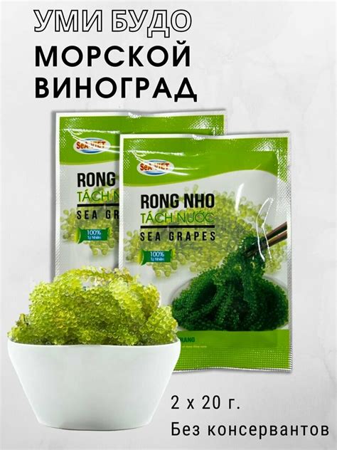 Морской виноград водоросли где купить — купить по низкой цене на Яндекс ...