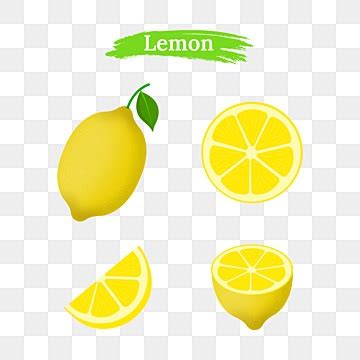 Lemon Slice Vector Art Png Lemon Slice Set Realistic Lemon Tropical