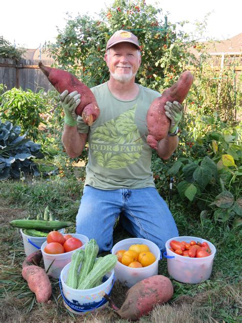 THE VEGETABLE UNDERGROUND A GUIDE TO GROWING ROOT CROPS Washington