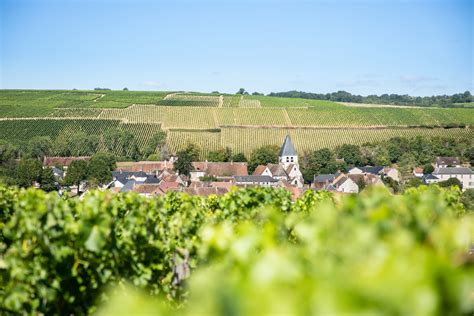 Sancerre Pouilly Fumé JM et P PASTOU