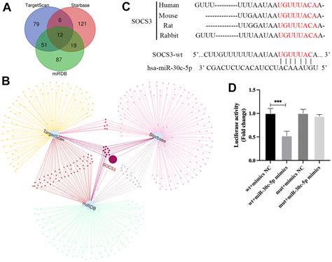 Adipocyte Derived Exosomal Mir C P Promotes Ovarian Angiogenesis In