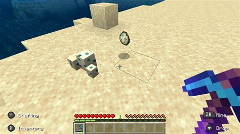 How to get Sea Turtle Eggs in Minecraft - DoubleXP