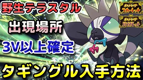 【ポケモンsv】タギングル（野生テラスタル）入手方法！固定シンボル出現場所！3v以上確定で育成しやすい！【スカーレット・バイオレット