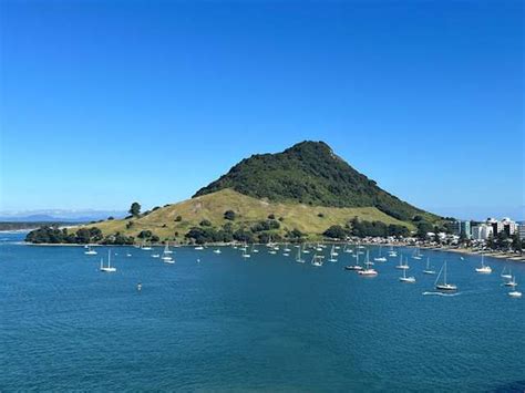 The 4 Best Beaches in Tauranga