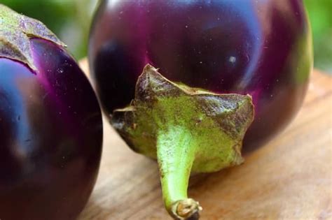 How To Tell If Eggplant Is Bad 15 Tips For Inside And Outside Hotsalty