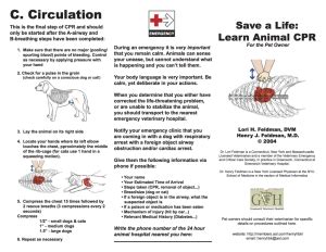 Free Printable Pet CPR and Emergency Dog & Pet Medical Posters: How to ...