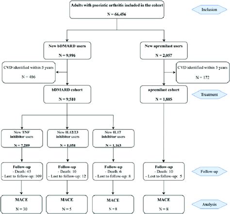 Flowchart For Analytic ApproachData Are N BDMARD Biological