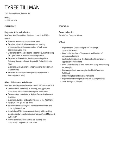 Developer Lead Resume Samples Velvet Jobs