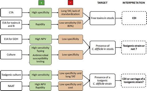 How To Diagnose Infection Caused By Clostridium Difficile Clinical