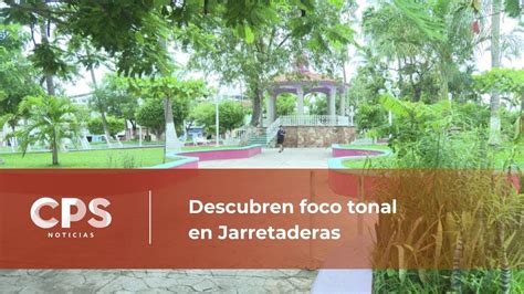 Descubren Foco Tonal En Jarretaderas CPS Noticias Puerto Vallarta