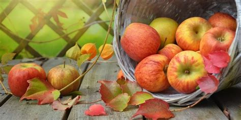 Tipos De Manzana Conoce Las Diferentes Variedades Y Sus Caracter Sticas