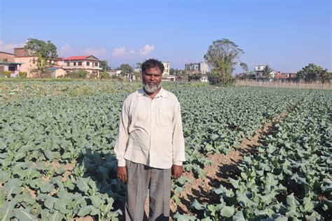 तरकारीले बजार नपाउँदा किसान चिन्तित उपभोक्ता चर्को मूल्य तिर्न बाध्य