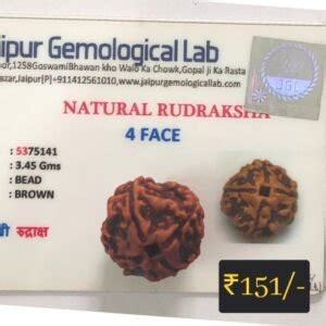 4 Mukhi Rudraksha Benefits - Kashi Pujan