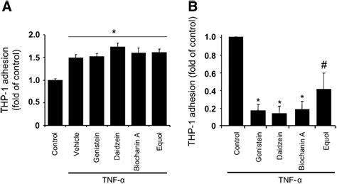 Isoflavones Inhibit Monocyte Adhesion To Tnf A Activated Huvec Only In