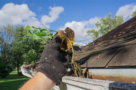 The Top 7 Roof Maintenance Tips For Rental Properties