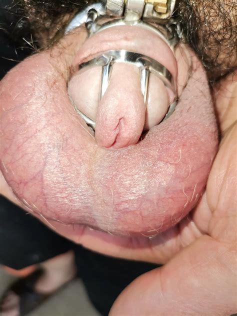 Schwanz Im Eisen Nude Pics XHamster