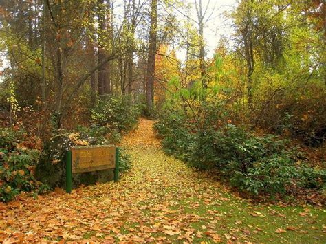 John A Finch Arboretum Alchetron The Free Social Encyclopedia