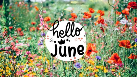 June Flowers Wallpaper