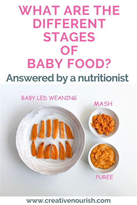 The Different Stages of Baby Food | Baby puree recipes, Baby food ...