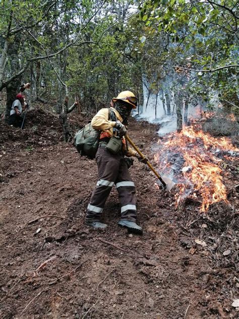 Incendios Forestales No Dan Tregua Diario Marca