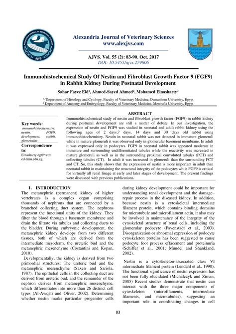 Pdf Immunohistochemical Study Of Nestin And Fibroblast Growth Factor