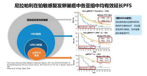 卵巢癌复发不用愁，尼拉帕利降低brca突变人群73疾病进展风险！无突变也有效！ 卵巢癌康复圈 觅健