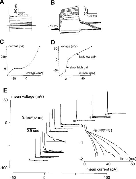 Figure From Role Of Hyperpolarization Activated Currents For The