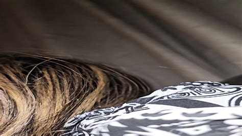 Pussy Eating Close Up