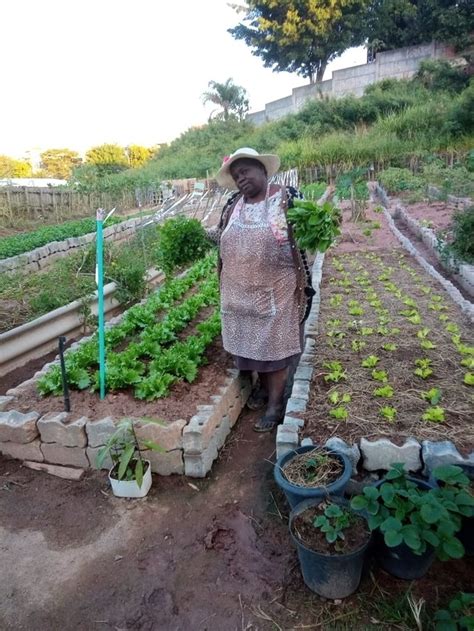 O que se planta se colhe os múltiplos benefícios da agricultura urbana