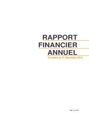 Remplissable En Ligne Rapport Financier Et Tats Financiers Consolids