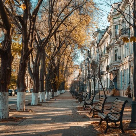 Premium Photo Urban Boulevard Arch And Park Benches On Primorsky