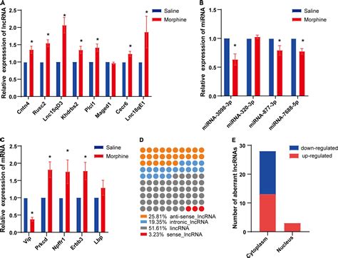 Frontiers Transcriptomic Analysis Of Long Non Coding Rna Microrna