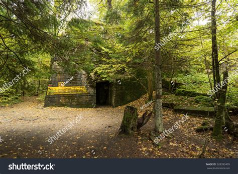 Wolfs Lair Adolf Hitlers Bunker Poland Foto De Stock 528393409