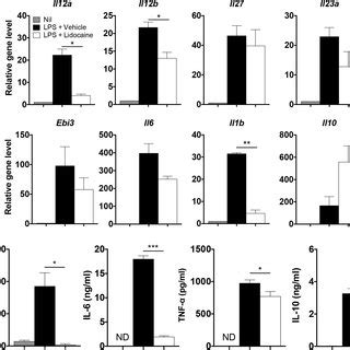 Effects Of Lidocaine On The Expression Of Various Cytokines Upon Lps