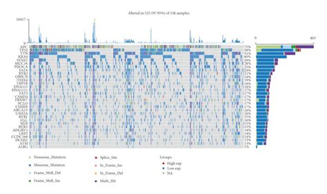 Landscape Of Somatic Mutations Of CRC A Oncoplot And Waterfall Plot