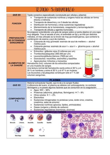Tejido Sanguíneo Maria Paz Werner uDocz