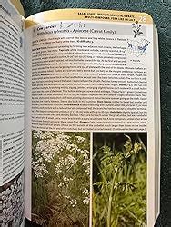 Sam Thayer S Field Guide To Edible Wild Plants Of Eastern And Central