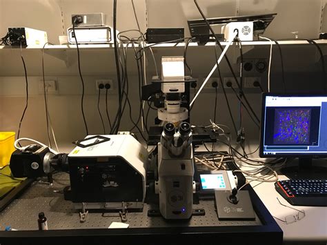 Confocal Microscopes Yokogawa W1 Spinning Disk Confocal 412