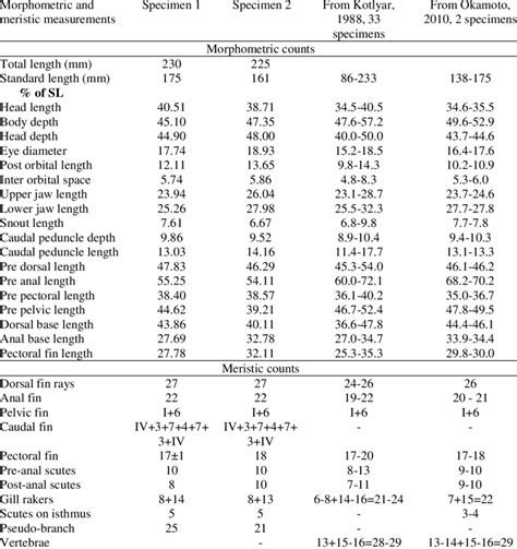 Morphometric And Meristic Measurements Of Diretmoides Veriginae