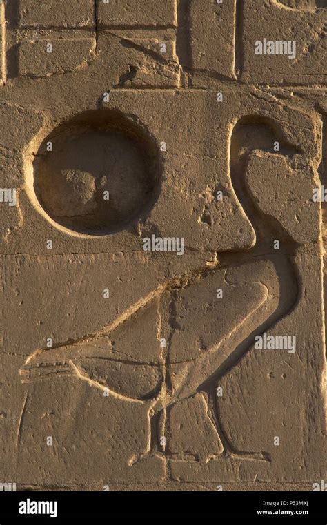 El Arte Egipcio Complejo Del Templo De Karnak Socorro Representando Un