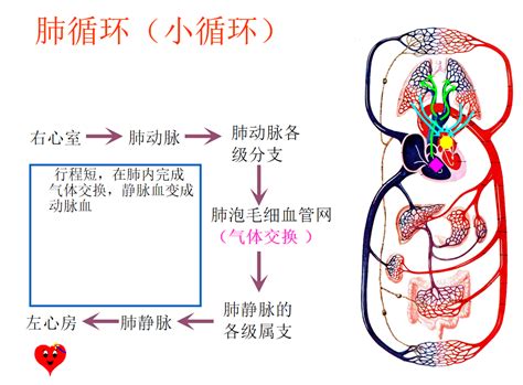 壹生资讯 医学笔记急性肺栓塞