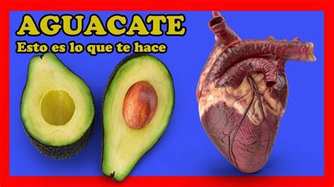 Sabes Que Sucede A Tu Cuerpo Cuando Consumes Aguacate Aguacate